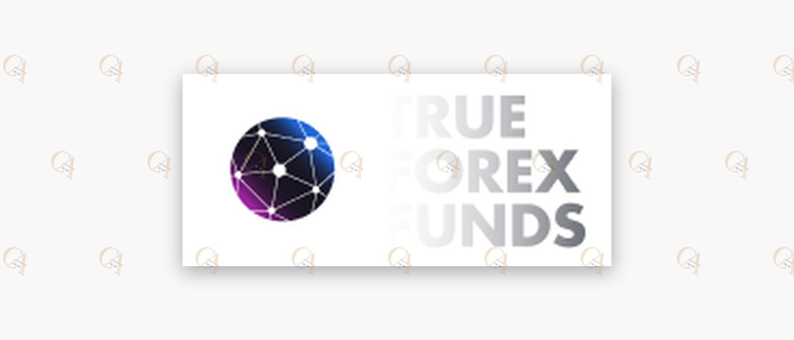 Logo di True Forex Funds