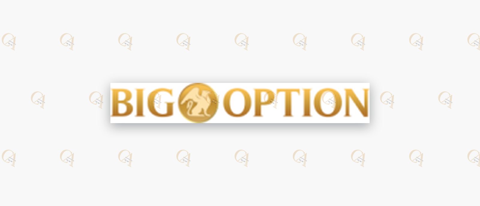 Logo BigOption